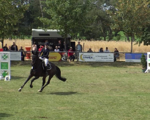 Reitturnier Delbrück-Ostenland 2019