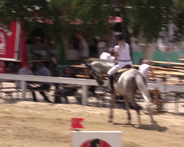 Reitturnier Letmathe 2019