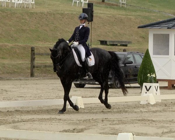 FEI Reitturnier Leudelange (LUX) 2019