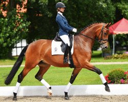 dressage horse Santa Maria (Westphalian, 2012, from Sandro Hit)