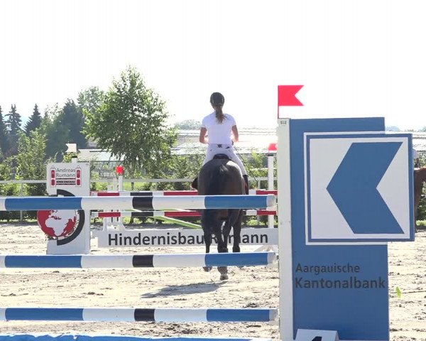 Reitturnier Möhlin 2019
