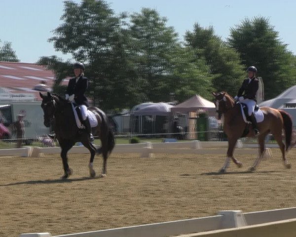 Reitturnier Vorsfelde 2019