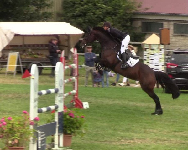 Reitturnier Hanerau-Hademarschen 2019