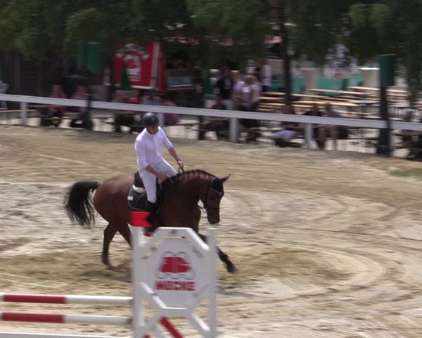 Reitturnier Letmathe 2019