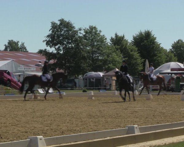 Reitturnier Vorsfelde 2019