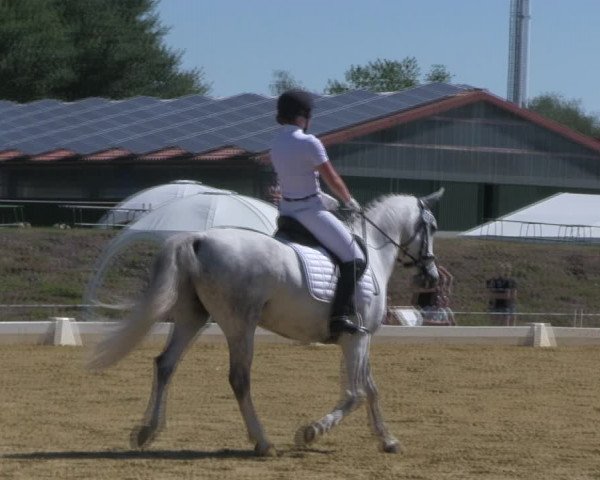 Reitturnier Vorsfelde 2019