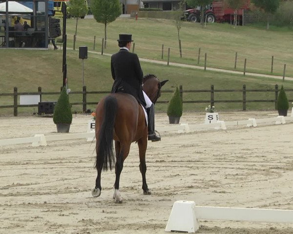FEI Reitturnier Leudelange (LUX) 2019