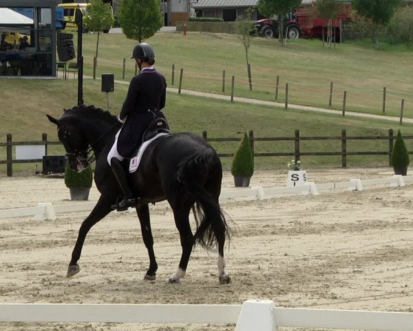 FEI Reitturnier Leudelange (LUX) 2019