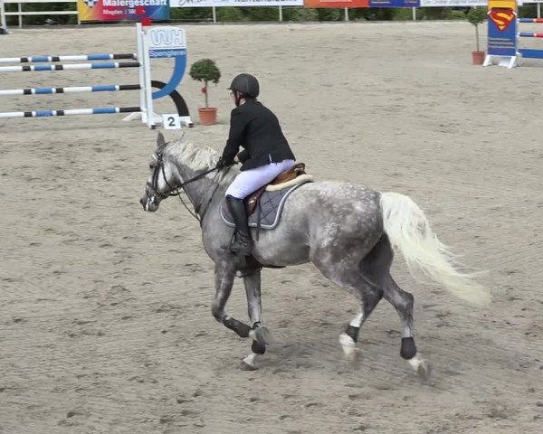 Reitturnier Möhlin 2019