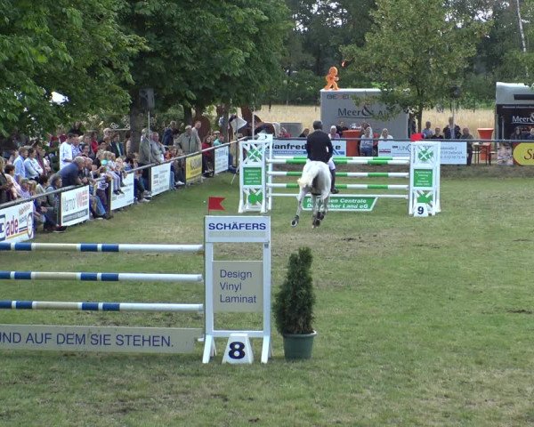 Reitturnier Delbrück-Ostenland 2019