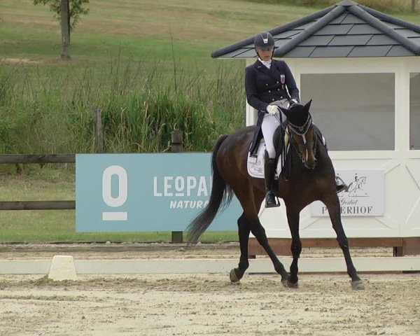 FEI Reitturnier Leudelange (LUX) 2019
