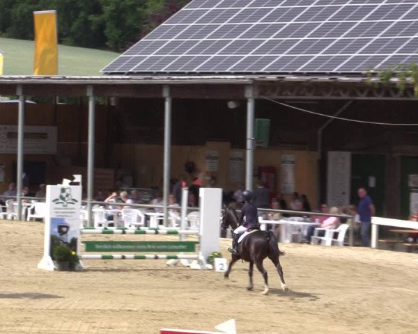 Reitturnier Letmathe 2019