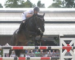 broodmare Olivia la Sweet (KWPN (Royal Dutch Sporthorse), 2005, from Oklund)