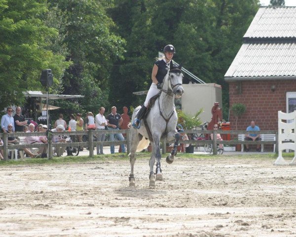 jumper Caruso 472 (Westphalian, 2006, from Cornet Obolensky)