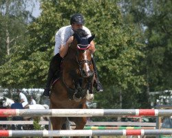 broodmare Quiet Magic (Oldenburg, 2004, from Quidam de Revel)