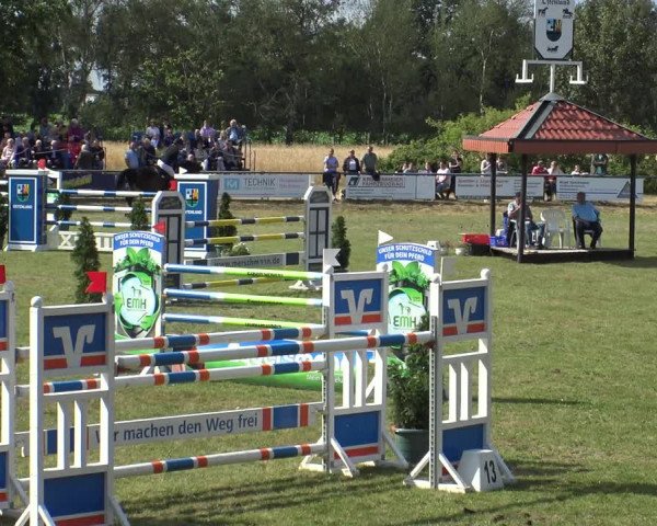 Reitturnier Delbrück-Ostenland 2019