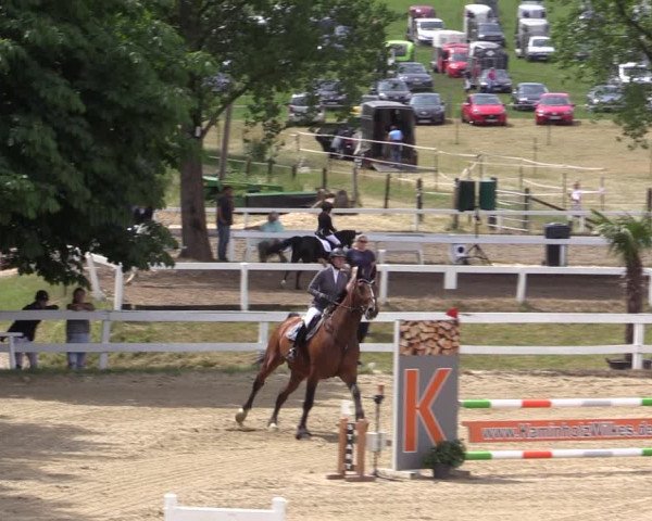 Reitturnier Letmathe 2019