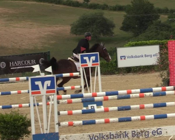 Reitturnier Lindlar-Süttenbach 2019