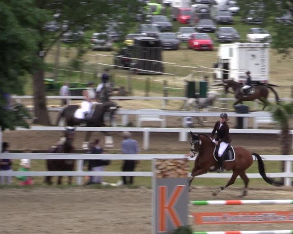 Reitturnier Letmathe 2019
