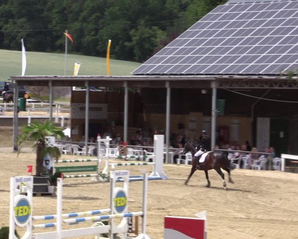 Reitturnier Letmathe 2019