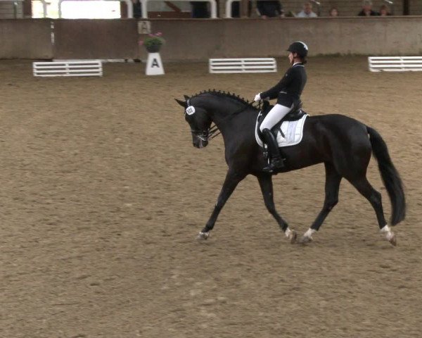 Reitturnier Delbrück-Ostenland 2019
