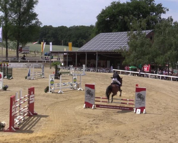 Reitturnier Letmathe 2019