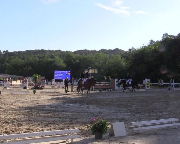 Reitturnier Letmathe 2019
