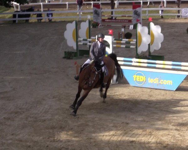 Reitturnier Letmathe 2019