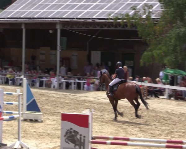 Reitturnier Letmathe 2019
