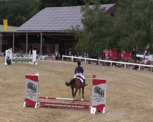 Reitturnier Letmathe 2019