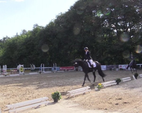 Reitturnier Letmathe 2019