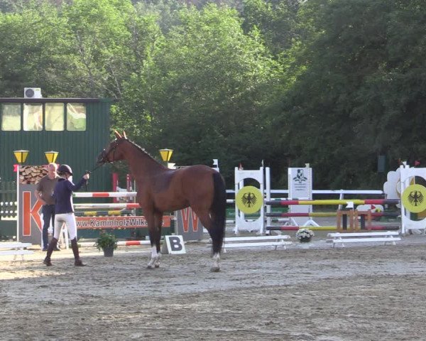 Reitturnier Letmathe 2019