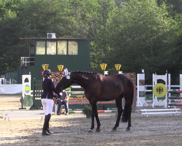 Reitturnier Letmathe 2019