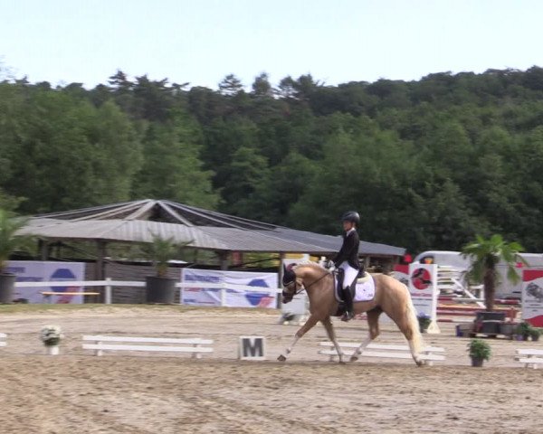 Reitturnier Letmathe 2019