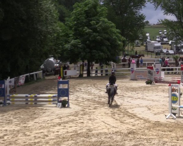Reitturnier Letmathe 2019
