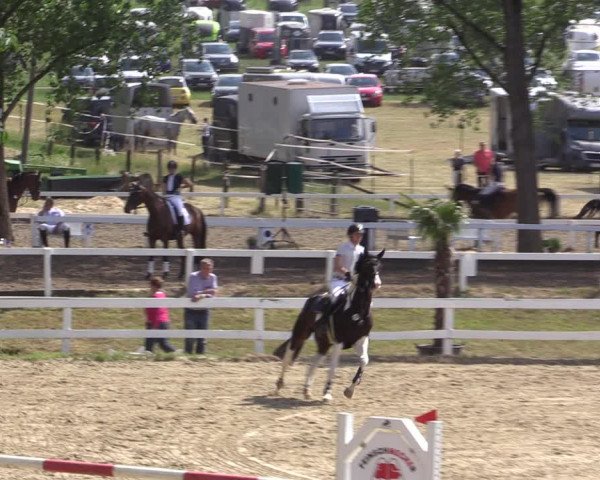 Reitturnier Letmathe 2019