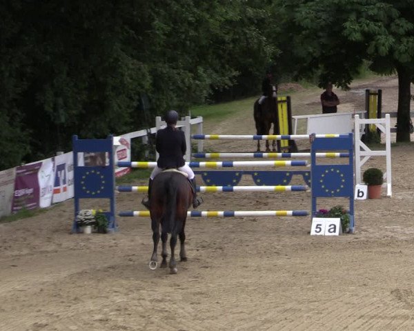 Reitturnier Letmathe 2019