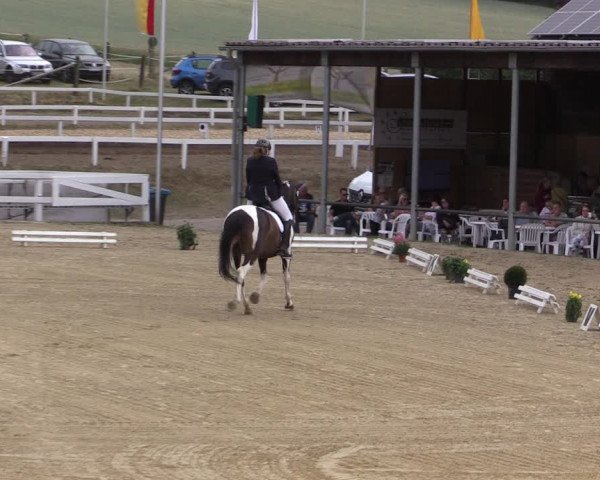 Reitturnier Letmathe 2019
