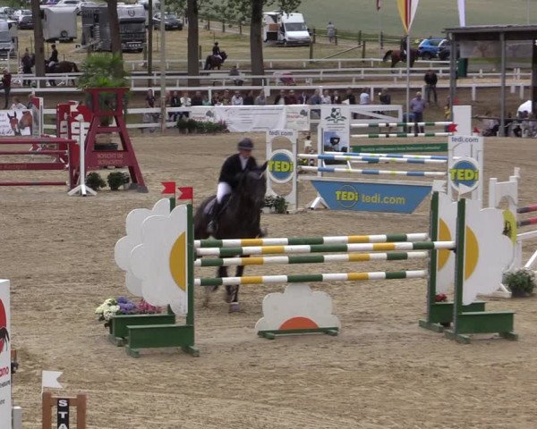 Reitturnier Letmathe 2019