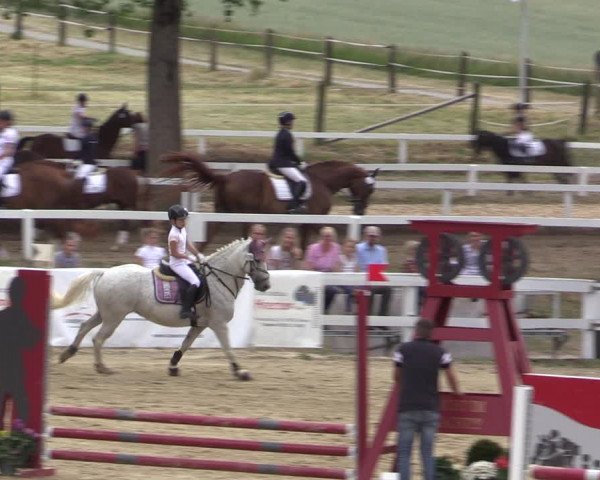Reitturnier Letmathe 2019