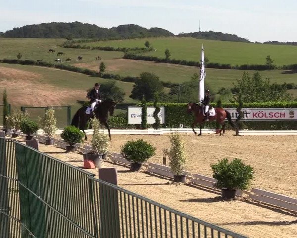 Reitturnier Lindlar-Süttenbach 2019