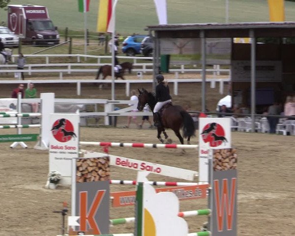 Reitturnier Letmathe 2019