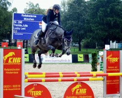 jumper Lucky Leni (Oldenburg show jumper, 2012, from Lucky Boy)