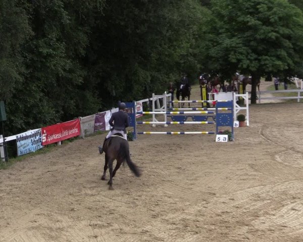 Reitturnier Letmathe 2019