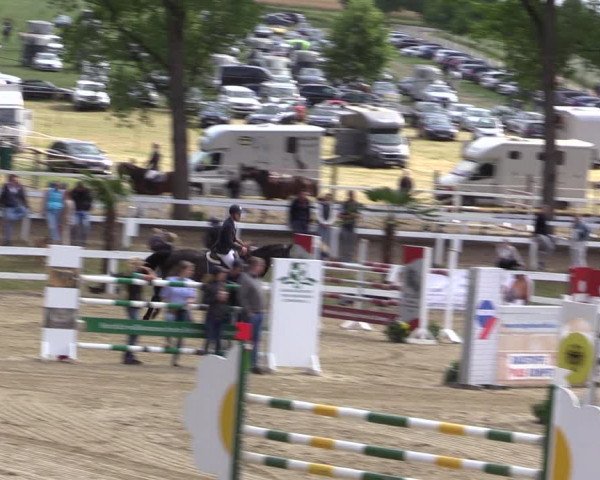 Reitturnier Letmathe 2019