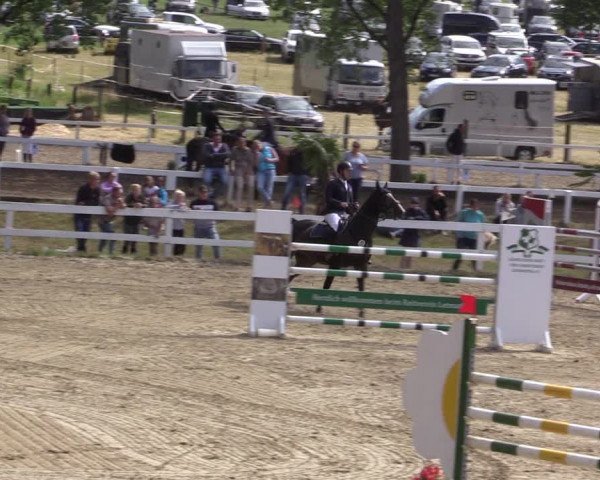 Reitturnier Letmathe 2019