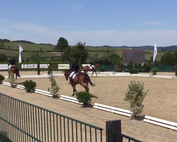 Reitturnier Lindlar-Süttenbach 2019