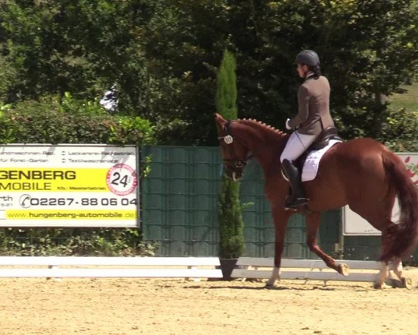Reitturnier Lindlar-Süttenbach 2019