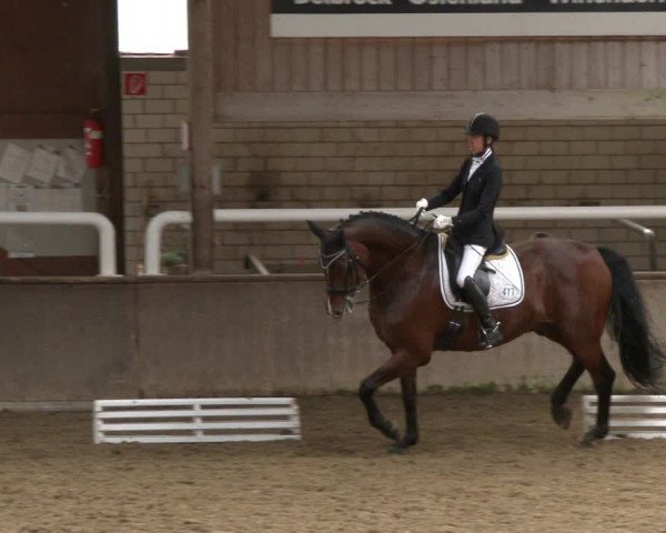 Reitturnier Delbrück-Ostenland 2019