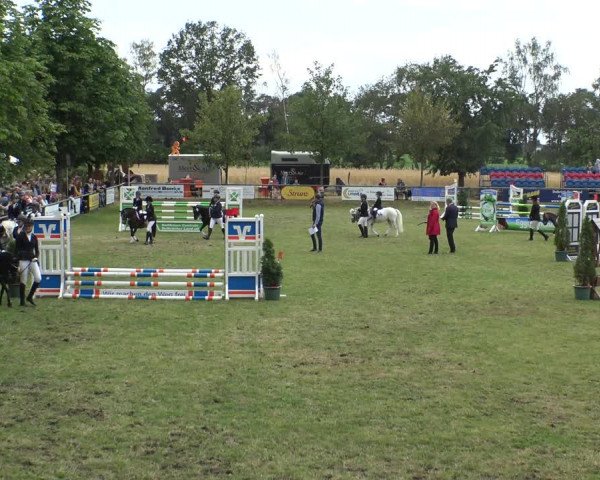 Reitturnier Delbrück-Ostenland 2019